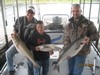 (07/17/2014) - Nice Striped Bass